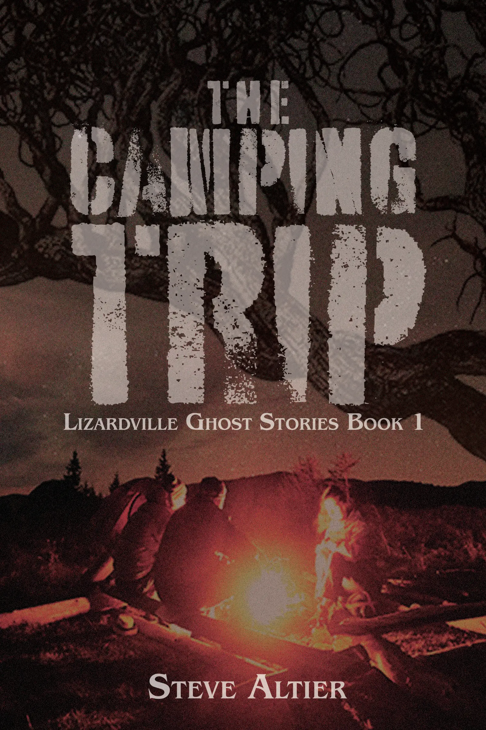 Cover design sample 14